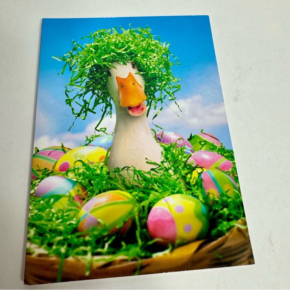 4 Avanti Greeting cards - Duck bird in basket with Easter eggs
Holiday: Easter